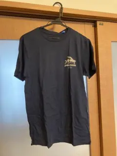 へち太郎さん専用 パタゴニア　Tシャツ　2枚セット