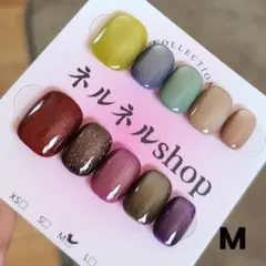 790:カラフルマグネットグラデーションベリーショートネイルチップ☆Mサイズ