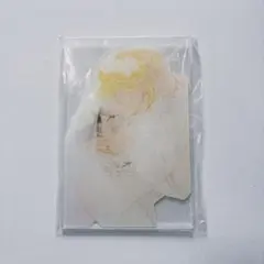 中村明日美子　アクリルスタンド　20年展　同級生のサムネイル