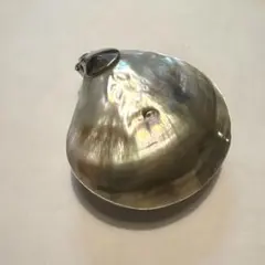 黒蝶貝　小物入れケース　シルバー