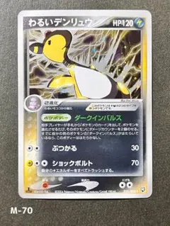 2026年最新】わるいデンリュウ psa9の人気アイテム - メルカリ