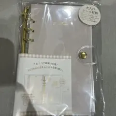 【新品・未開封】大人のシール収納 エクリュベージュ カミオジャパン