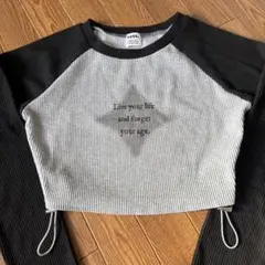 クロップドTシャツ グレーと黒のストライプ