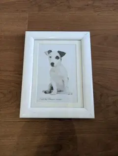 Item thumbnail for item a9dae8dd-85d3-4886-8a50-f53115a904f6