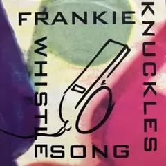 BLINK182 激レアピクチャー盤　レコード BLINK182 激レアピクチャー盤 レコード