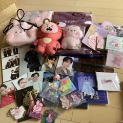 BTS 公式 グッズ BTSグッズまとめ売り BT21 うちわ プレミアムフォト