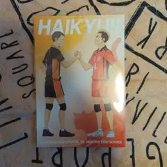 ハイキュー　ゴミ捨て場の決戦　ポストカード　アニメイト特典　田中龍之介　山本猛虎