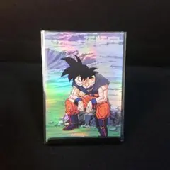 スーパーサイヤ人 孫悟空&ベジータ ドラゴンボールZホログラムシール