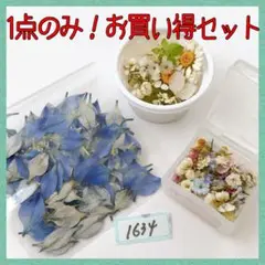 1634 【限定】ドライフラワーセット