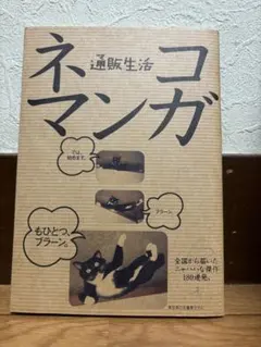 Item thumbnail for item 822dcae9-f142-470e-8c83-0f7bde3fc343