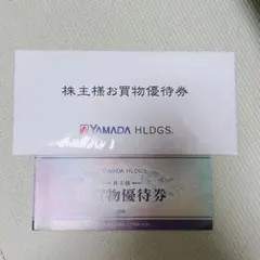 ヤマダ電機　YAMADA HD お買物優待券 10枚セット　5000円