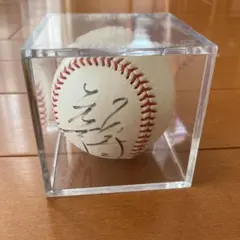 松井秀喜 直筆サインボール 元木大介 直筆サイン 原辰徳 桑田真澄 レプリカ 2025年最新】元木 サインボールの人気アイテム - メルカリ