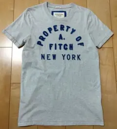 割引中Abercrombie&Fitch アバクロ Tシャツ半袖グレー Sサイズ
