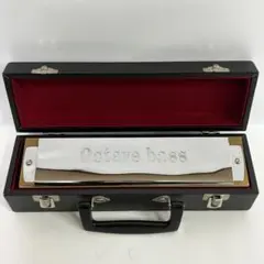 Item thumbnail for item 62a192a7-fdc7-4951-888a-5f601482408a