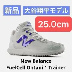 Item thumbnail for item a01c3594-8e3c-4a78-831a-edd89ce9e777