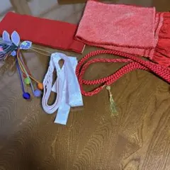 四重仮紐