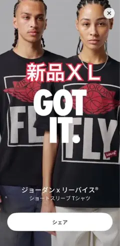 【新品】Nike Jordan x LEVI'S Graphic TEE 即発送