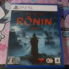 rise of the ronin