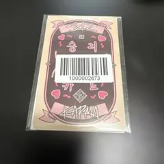 Stray Kids リアルタッチカード アイエン　IN karma