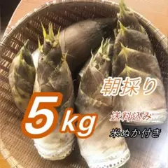 岡山県産☆掘りたて新鮮タケノコ５キロ☆米ぬか付き 岡山県産☆掘りたて新鮮タケノコ5kg☆米ぬか付き① - メルカリ