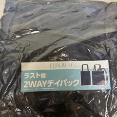 ローソン 日向坂46くじ ラスト賞 2WAYデイパック 折りたたみ傘 2点