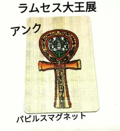 windy様 リクエスト 3点 まとめ商品
