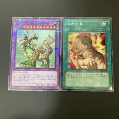 2026年最新】ナチュル・エクストリオの人気アイテム - メルカリ