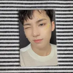 SEVENTEEN ミンギュ 舞い落ちる花びら トレカ