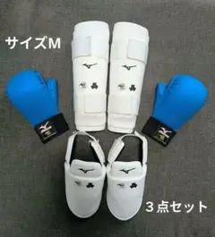 MIZUNO 가라테 아머 세트 피스트 서포터 블루, 신 가드, 인스텝 가드