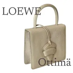 LOEWE ロエベ ハンドバッグ ベージュ系 レザー ストラップ欠品