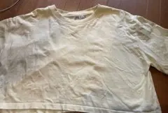 zara  　Tシャツ　イエロー　L　ショート丈