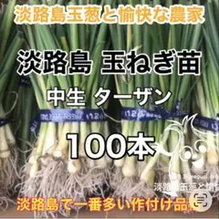 2025年最新】たまねぎ苗の人気アイテム - メルカリ