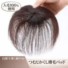 Item thumbnail for item 51bb412b-cda7-4dd7-b57b-870dcf71511c