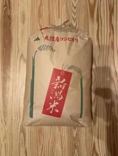 令和7年産 南魚沼産コシヒカリ 保有米 玄米 20キロ - メルカリ
