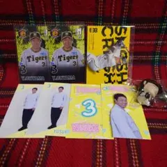 Item thumbnail for item 29bcbcd0-0729-43bc-aa3c-5f934b525e51