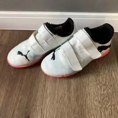 Item thumbnail for item 57b88ef8-9e31-4c5b-b981-a7ced4e9c357