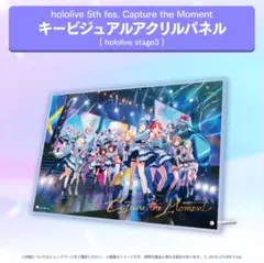 ホロライブ5th fes.　ライブグッズ　キービジュアルアクリルパネル