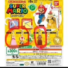 スーパーマリオめじるしアクセサリー2 キノピオ　ピーチ　クリボー