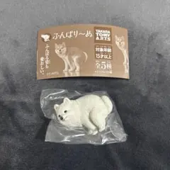 tiara様 リクエスト 2点 まとめ商品