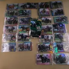 メジロマックイーン 武豊サイン入り サラブレッドコレクションセット