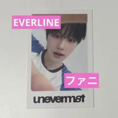 idntt アイデンティティ ファニ トレカ EVERLINE