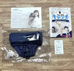 Item thumbnail for item fa2fb3eb-96ed-4522-8c61-1cf1a5996aa0