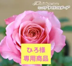 ひろ様 リクエスト 10点 まとめ商品