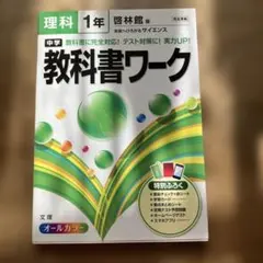 Item thumbnail for item cf8c5007-2df3-46d9-adbc-dfcf5b2ac7ad