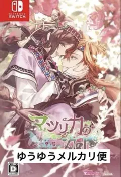 新品未開封】マツリカの炯-KEi- 天命華燭伝 FD Switch ソフト - メルカリ