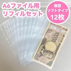 【縦型ソフトタイプ】リフィル12枚　A6 アクリル バインダー貯金 saving