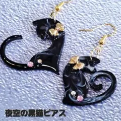 No552。ハンドメイドレジンピアス、イヤリング、夜空の黒猫ピアス
