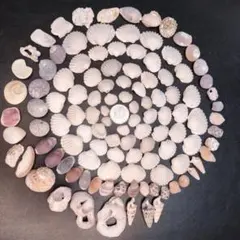 Item thumbnail for item 1fee4e0c-ee86-40d0-838e-b3dd9ec418ba