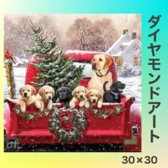 ダイヤモンドアート　クリスマス　ワんちゃん　犬　30*30cm　Xmas