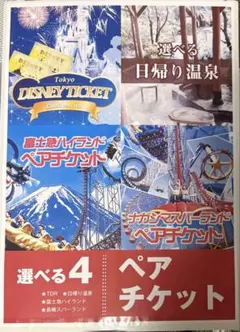 ‼️限定値下げ‼️選べる4 ペアチケット TDR ナガシマ 富士急 日帰り温泉のサムネイル